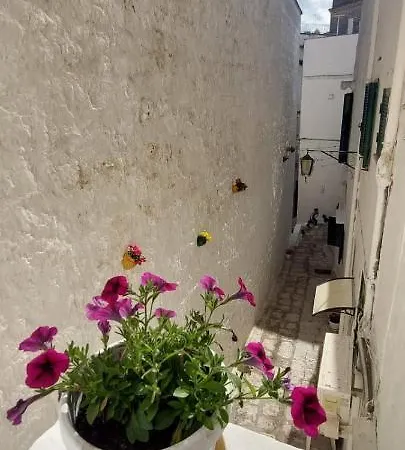 Dimora Lavinia Centro Storico بيت للعطل *