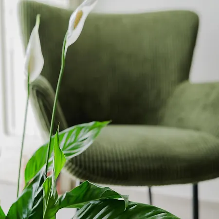 Dimora Lavinia Centro Storico Dom wakacyjny Ostuni