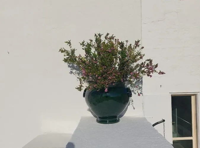 Dimora Lavinia Centro Storico Ostuni