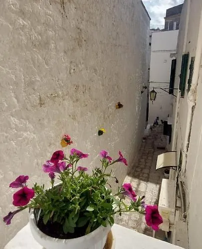Dimora Lavinia Centro Storico Ferienhaus *