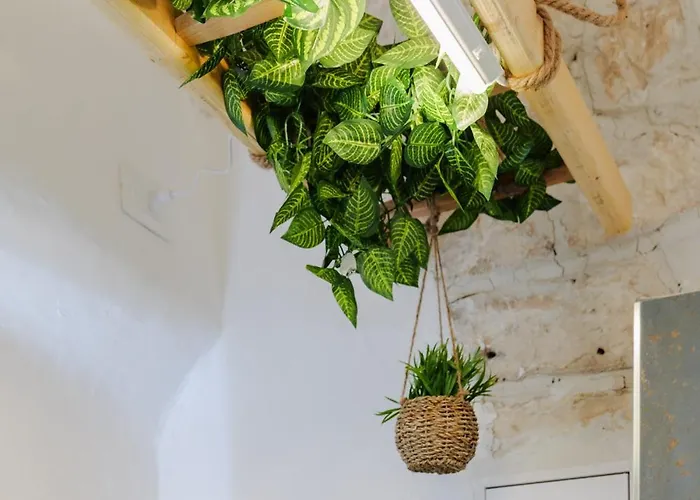 Dimora Lavinia Centro Storico Ostuni